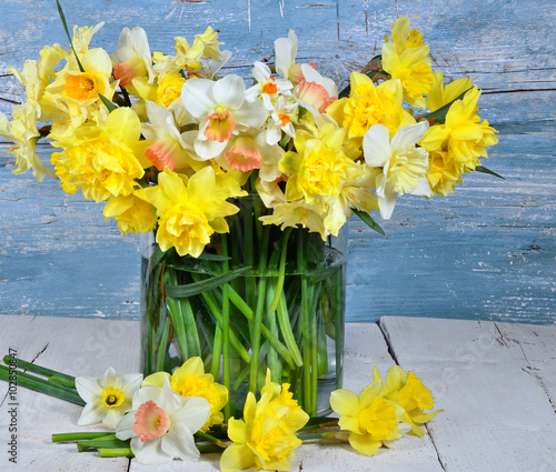 Happy Easter: bouquet of yellow daffodils :)
