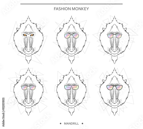 Isolated set of monkey muzzles in a linear style and in different glasses. Symbol of 2016 in the Chinese horoscope . Mandrill for design . Monkeys in hipster retro style. monkey head