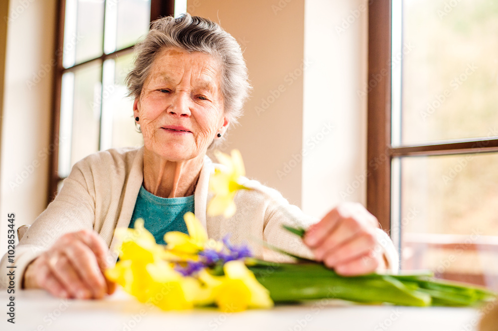 Senior woman by the window arranging bouquet of daffodils Senior woman by the window arranging bouquet of daffodils