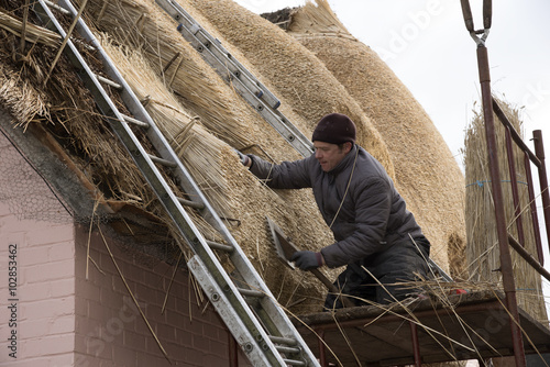 Thatcher using a leggett to dress the combed wheat reed on the roof of a house