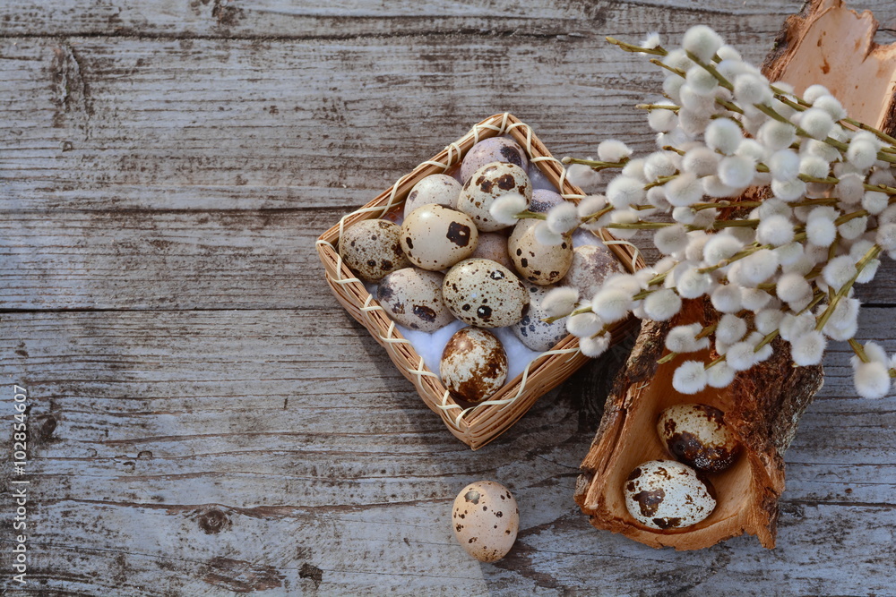 Fototapeta premium A basket full of spotted quail eggs and white willow