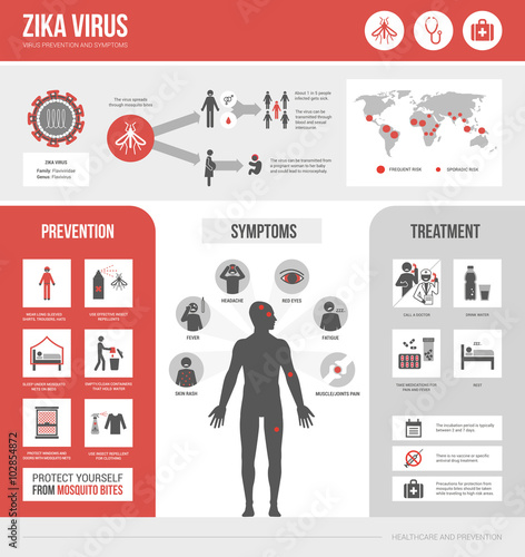 Zika virus infographic: prevention, symptoms and treatment