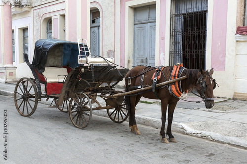 Cuba, Cardenas, horse with Coach