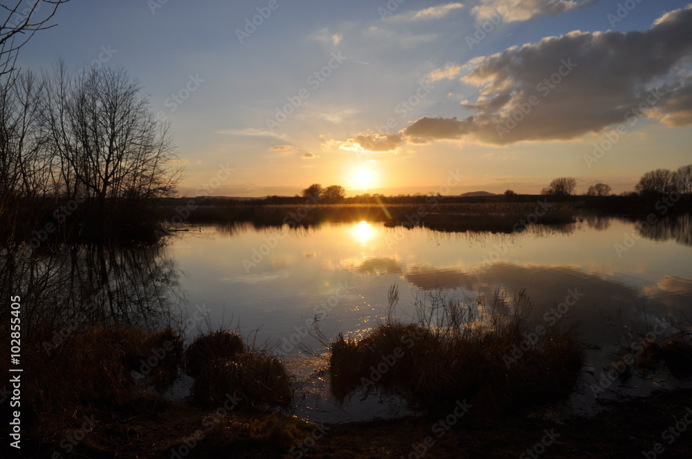 Fototapeta premium Reinheimer Teich, abends