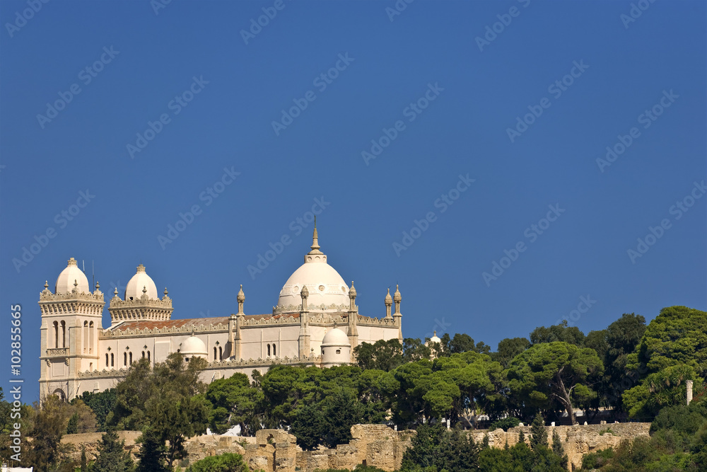 Tunisia. Ancient Carthage - Byrsa hill. Saint Louis cathedral seen from the Punic ports