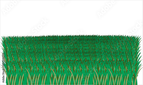 Lot of illustrated grass on white background 