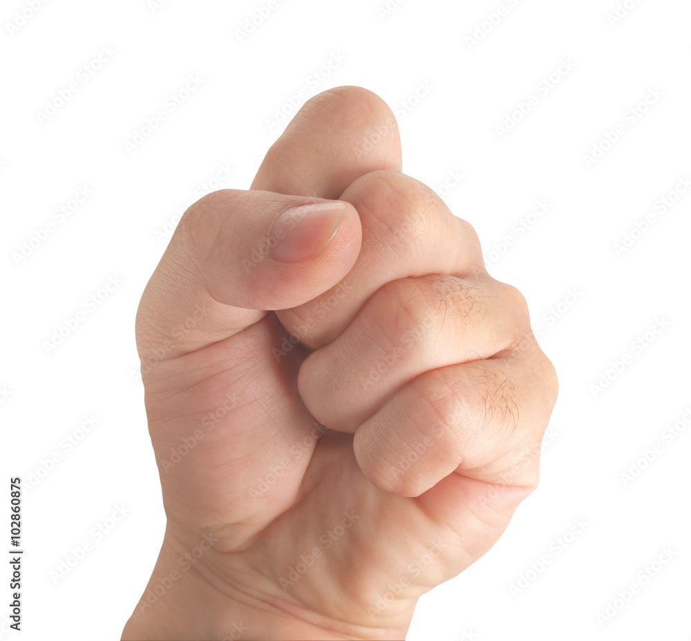 Human hand / Human hand in fist on white background. Human hand / Human hand in fist on white background.