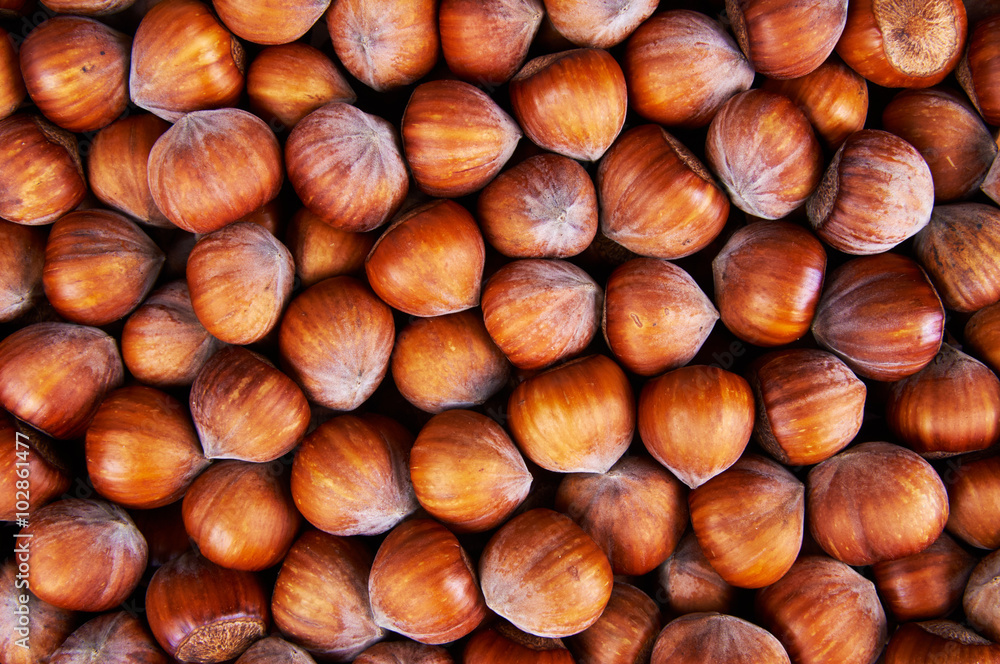 Stack of hazelnuts. Hazelnut background Stack of hazelnuts. Hazelnut background