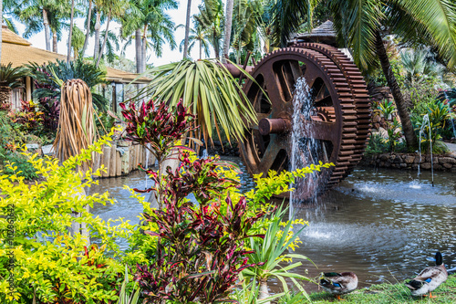Maui Tropical Plantation: big gears