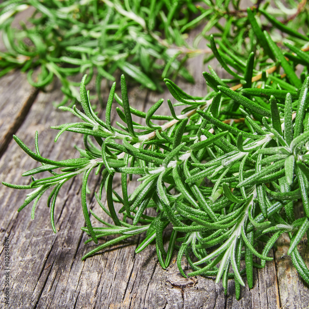 Bunch of fresh rosemary herbs on rustic wooden table Bunch of fresh rosemary herbs on rustic wooden table