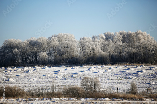 spring background, frost sun