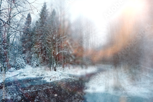 blurred background winter forest snowfall © kichigin19