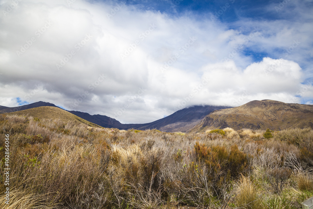 Tongariro National Park Neuseeland