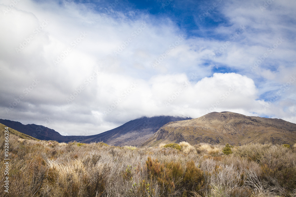 Tongariro National Park Neuseeland