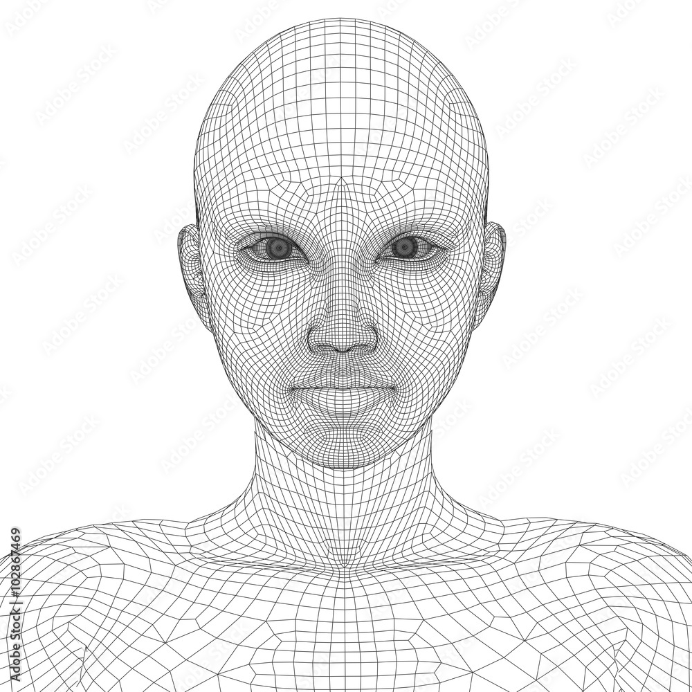 Conceptual 3D wireframe human female or woman face or head Stock Illustration | Adobe Stock