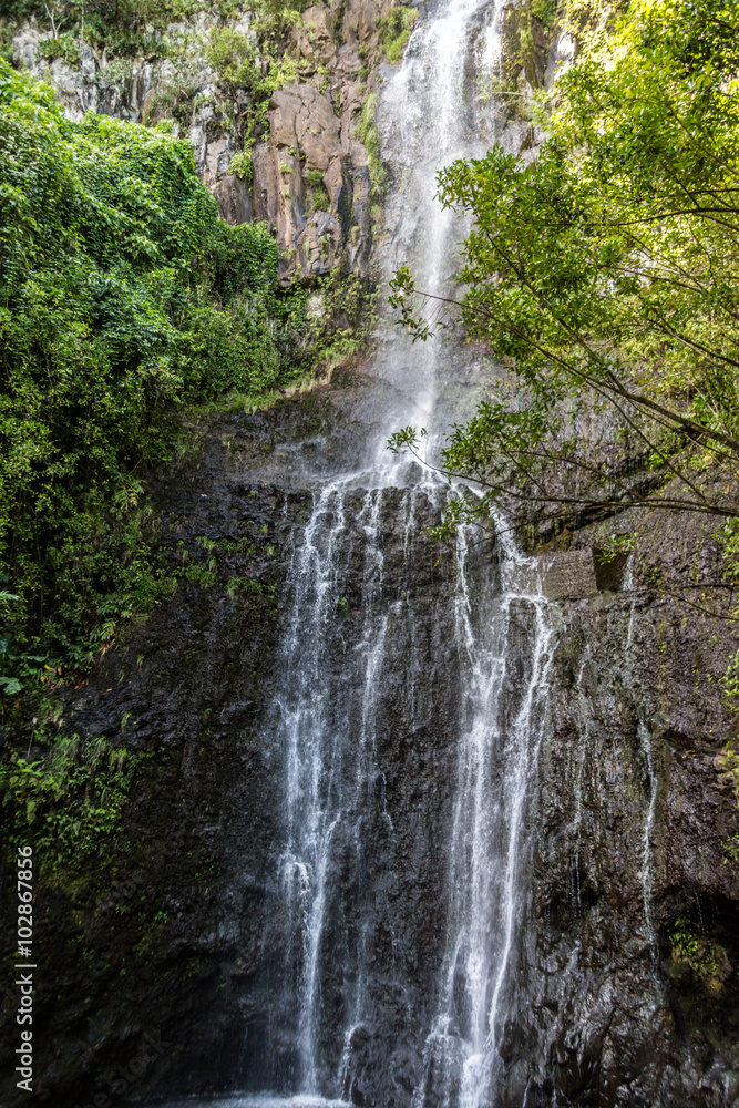 Waterfall in Paradise