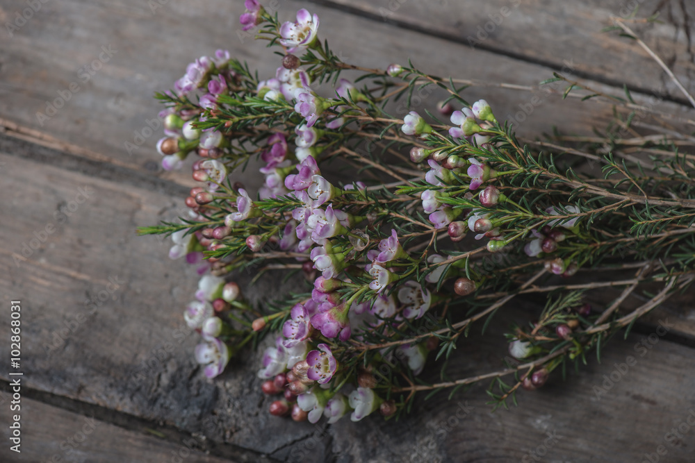 Bouquet of flowers on wooden background Bouquet of flowers on wooden background
