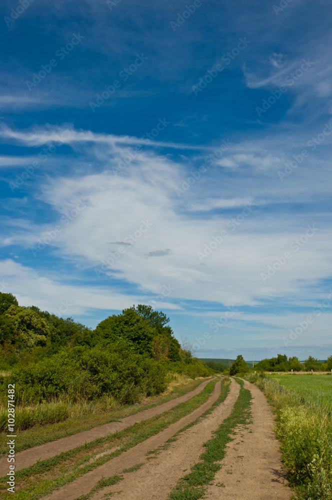 Fototapeta premium a dirt road