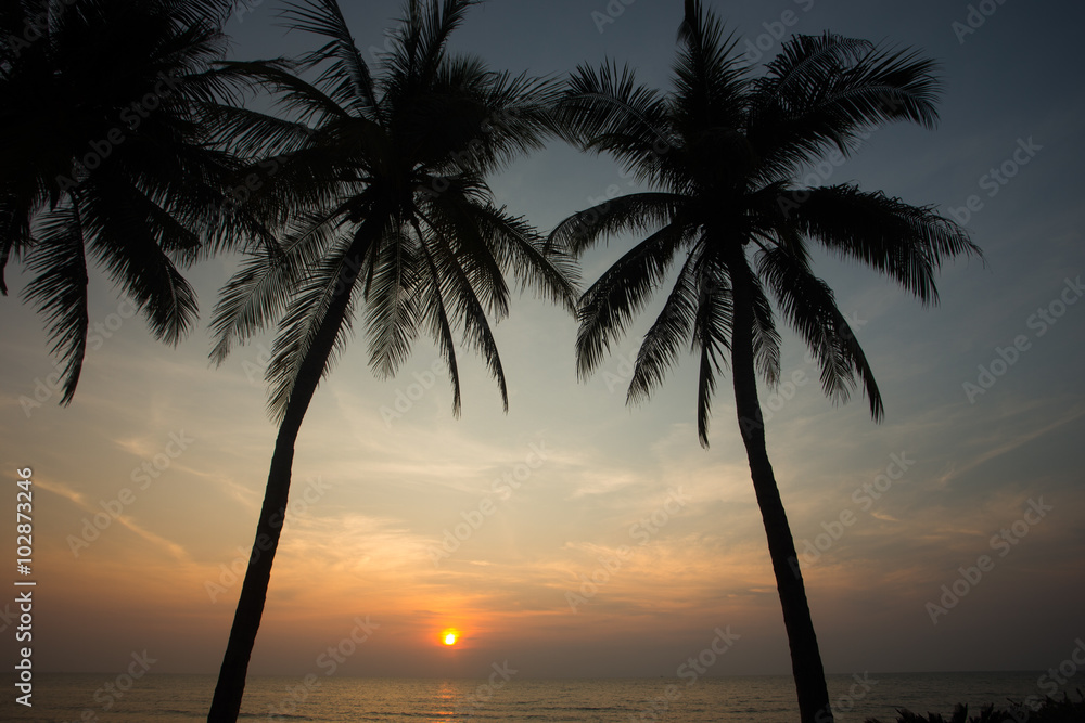 Coconut palm tree silhouettes at sunset (sunrise)