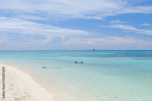 The crystal clear and shallow waters on the islands of the Dry Tortugas an excellent place to snorkel