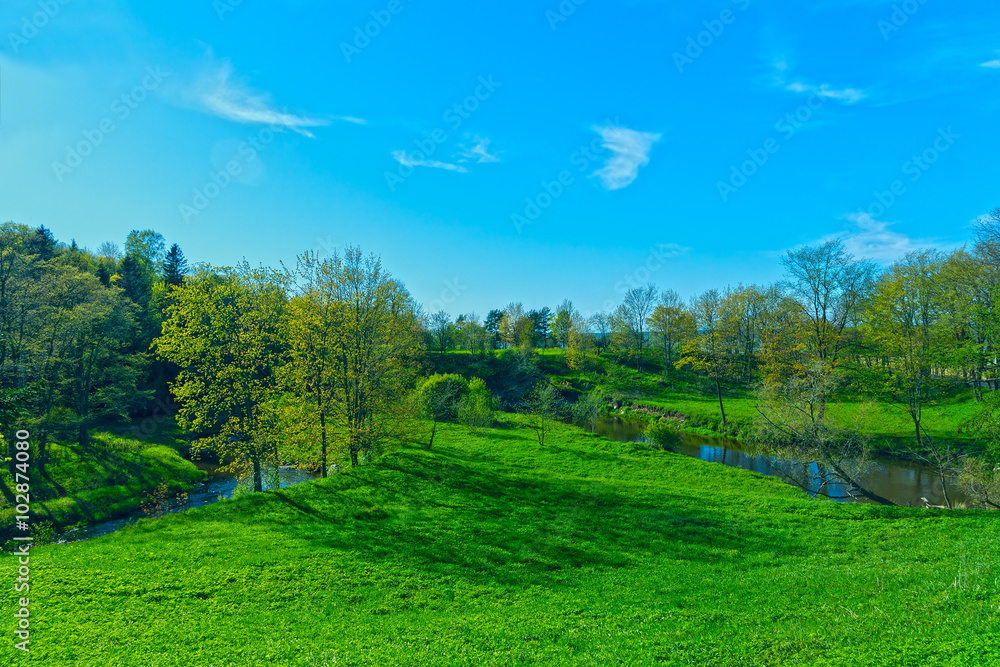 Obraz premium Spring landscape green country park
