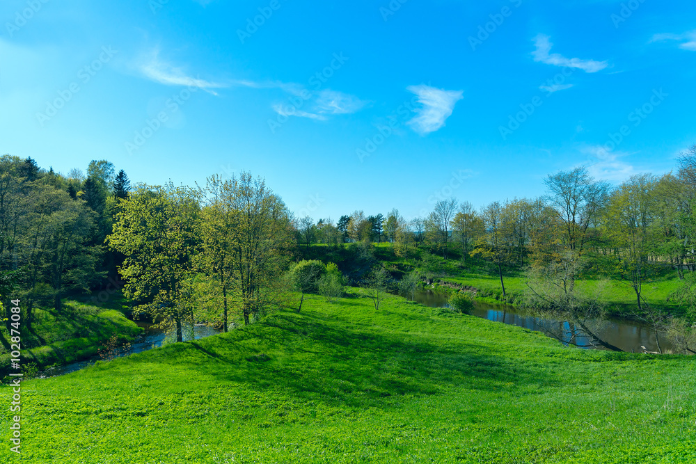 Spring landscape of green country park