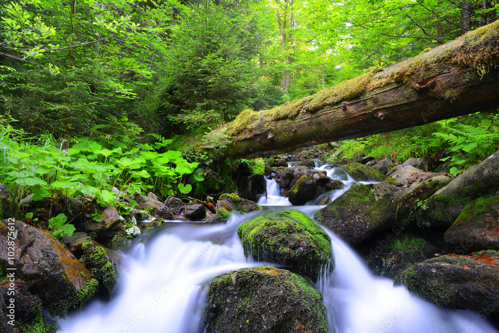 Mountain creek in the national park Sumava-Czech Republic Mountain creek in the national park Sumava-Czech Republic