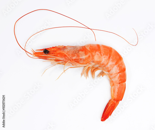 Close up of fresh shrimp isolated on white background.