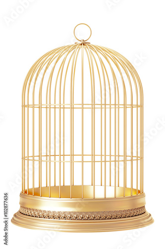 Fotografie, Tablou Golden bird cage