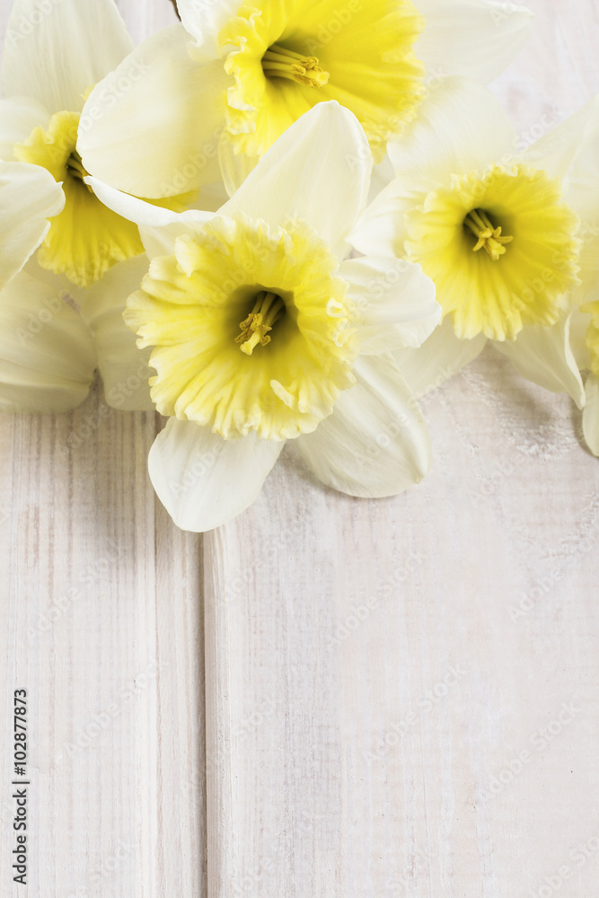 Yellow daffodils on wooden background