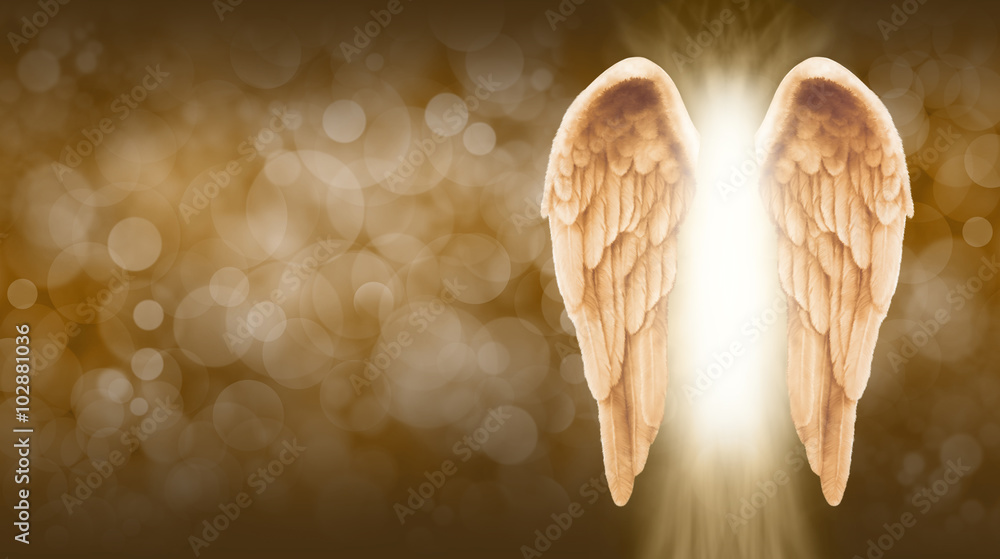 Fototapeta premium Golden Angel Wings on golden brown Bokeh Banner - Wide golden brown bokeh background with a large pair of Angel Wings on the right side and a shaft of bright light between