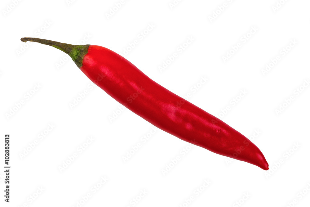 Red Chilli on a white background Red Chilli on a white background