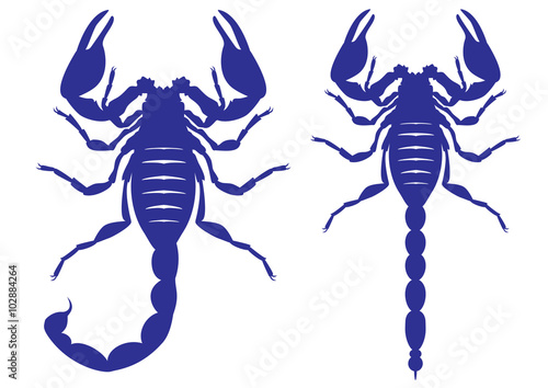 Vector silhouette of a scorpion