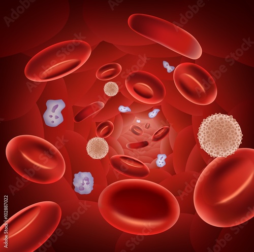 Illustration of red blood cells
