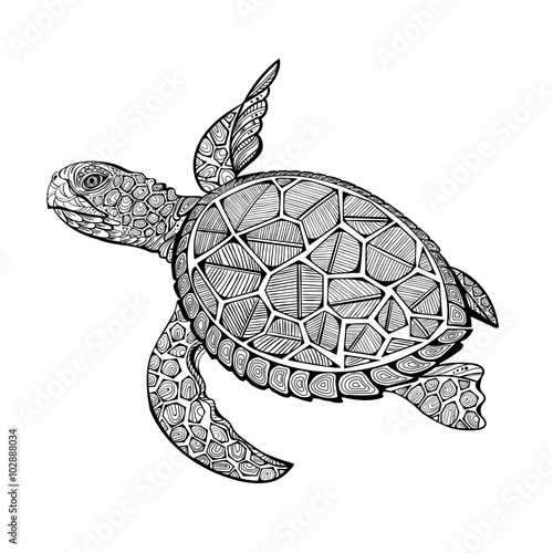 tatoo sea turtle