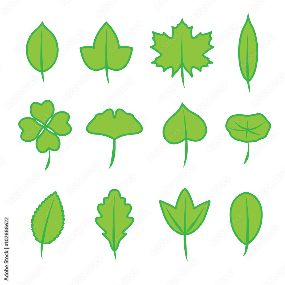 Leaves icon set, Set of green Leaves - obrazy, fototapety, plakaty 