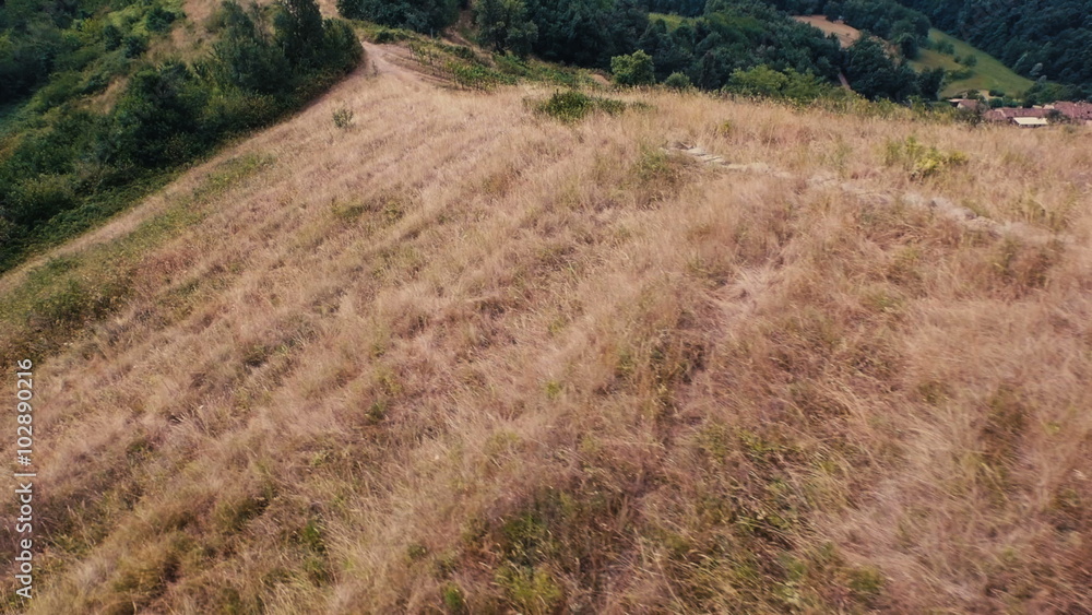 Drone on the side of a hill in the hot season Drone on the side of a hill in the hot season