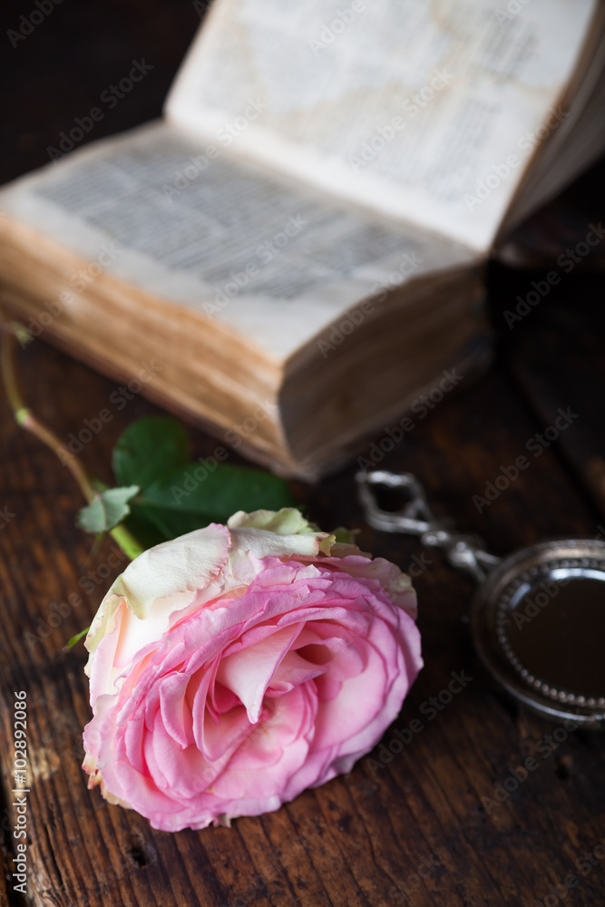 Stillleben mit Rose und altem Buch Stillleben mit Rose und altem Buch