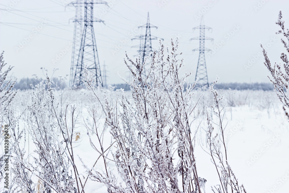 Electricity towers in winter. Blurred background, focus on dry snowy grass Electricity towers in winter. Blurred background, focus on dry snowy grass