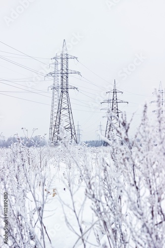 Electricity towers in winter. Blurred foreground