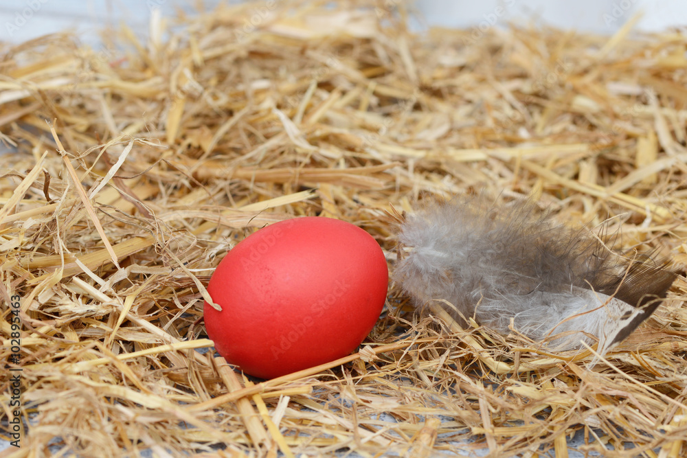 Osterei mit Feder im Stroh Osterei mit Feder im Stroh