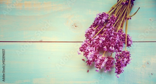 Fototapeta Naklejka Na Ścianę i Meble -  Lavendel