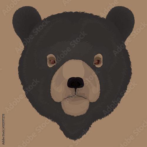 Bear Head