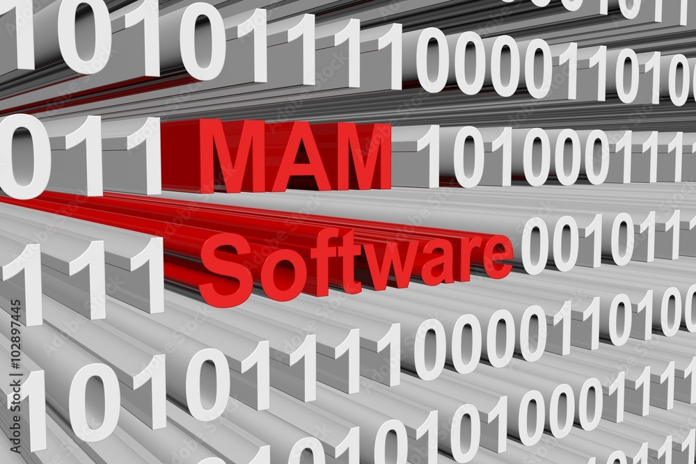 MAM software, represented in the form of binary code