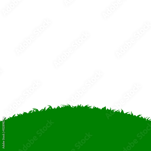 a green grassy hill 
