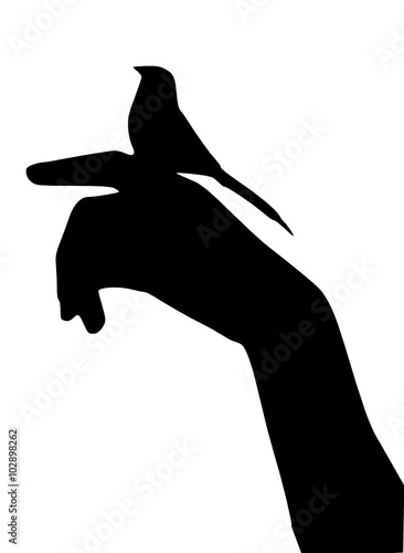 a bird on a hand 