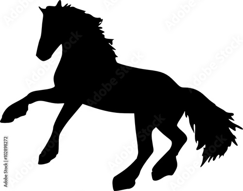 a horse 