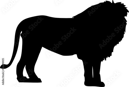 lion 