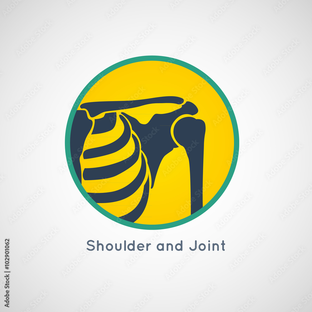 Shoulder and Joint vector