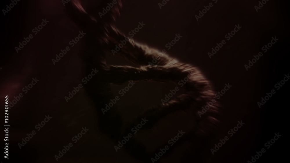 Animation of moving red chromosomes on black background Animation of moving red chromosomes on black background